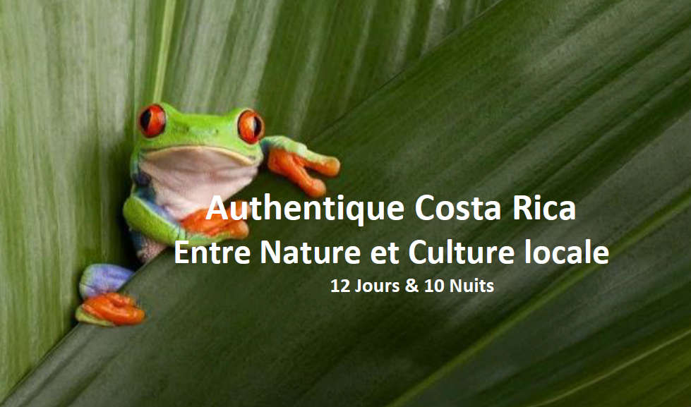 Capture d ecran costarica