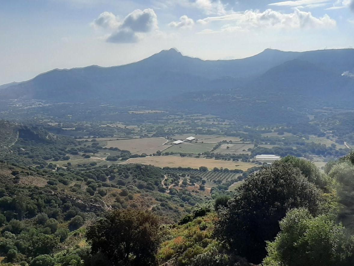 Montagnecorse