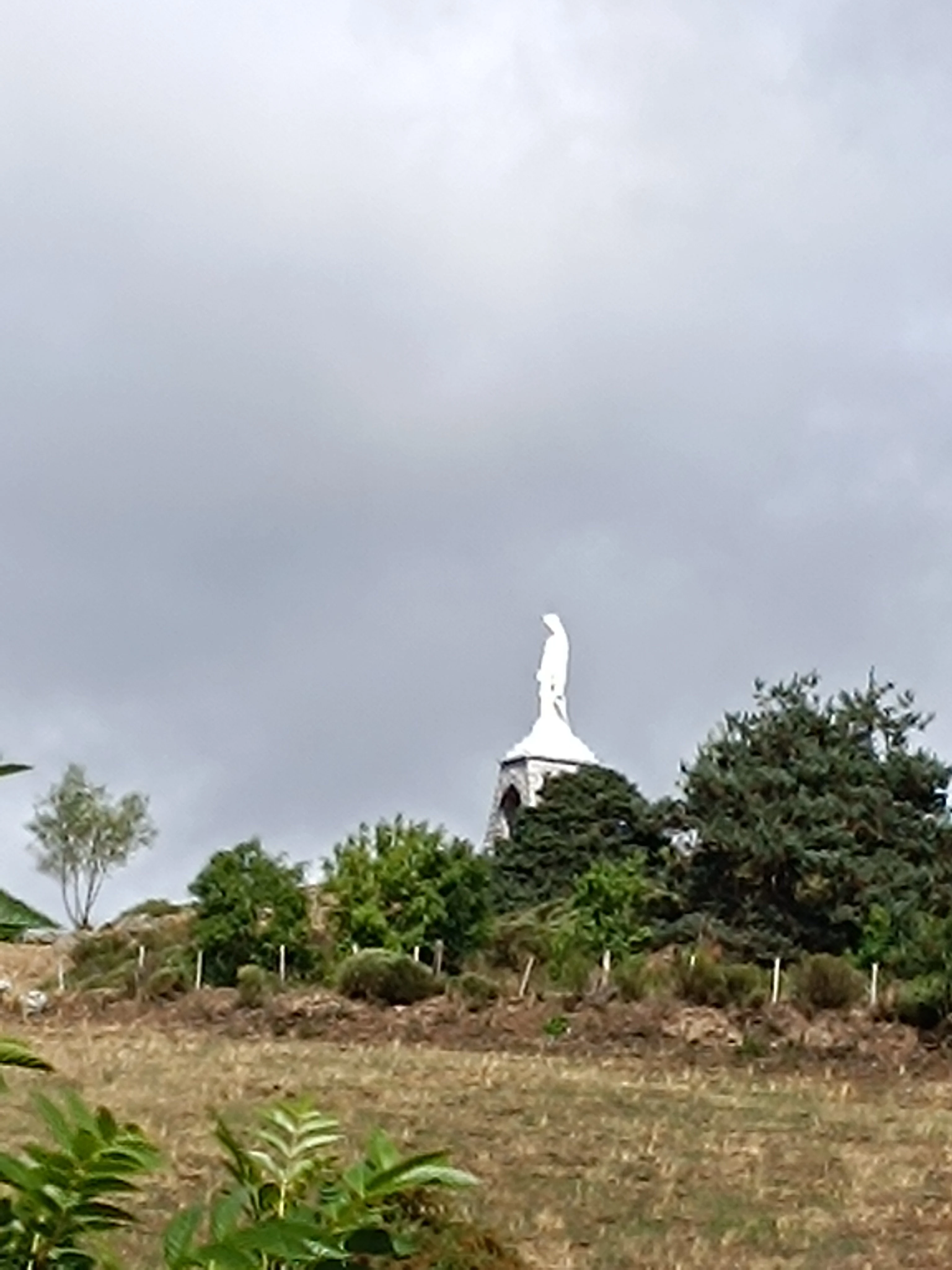 Img 20250901 145609