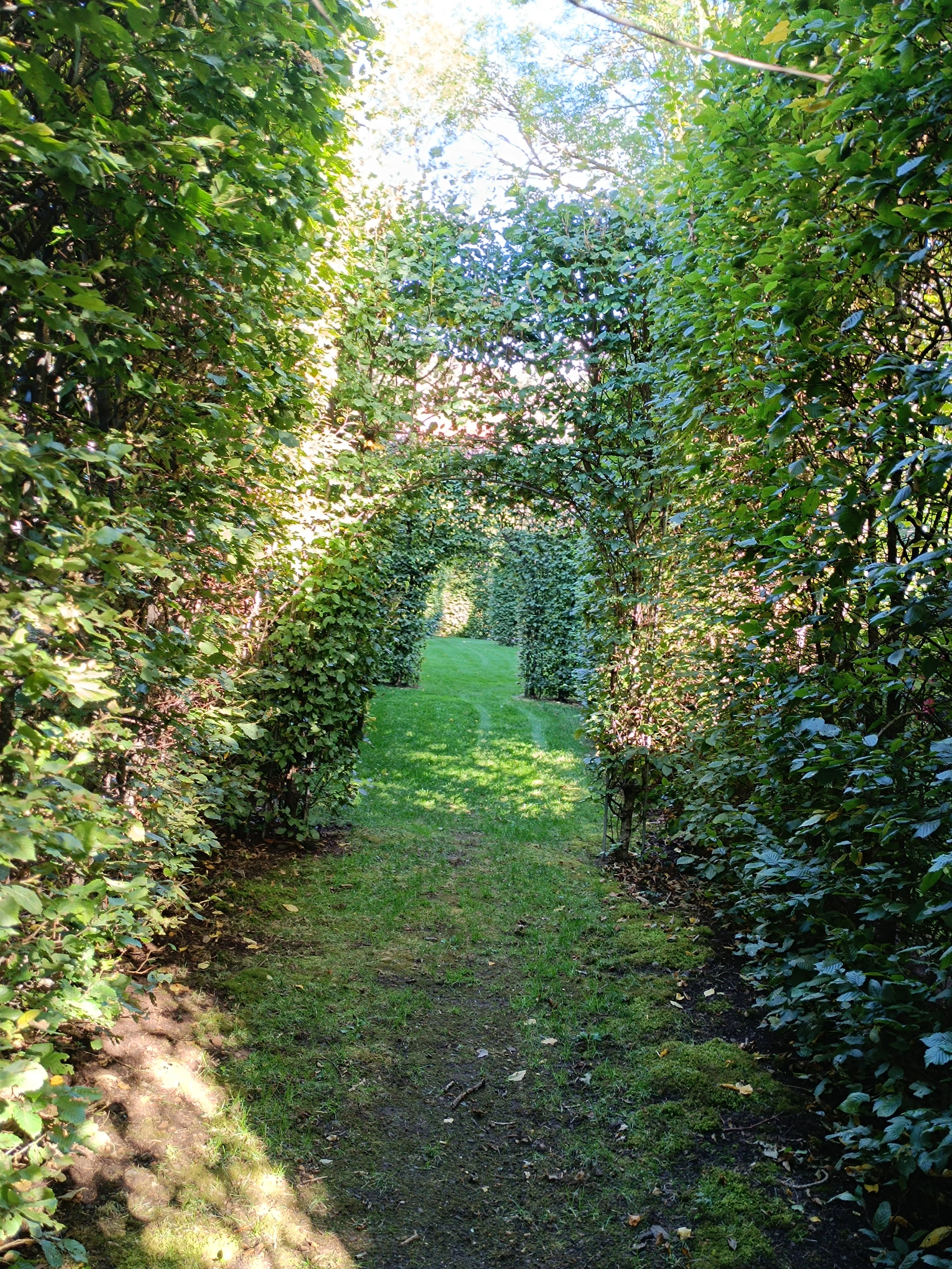 Img 20250905 173029
