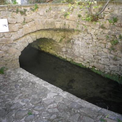Imgp0017 1