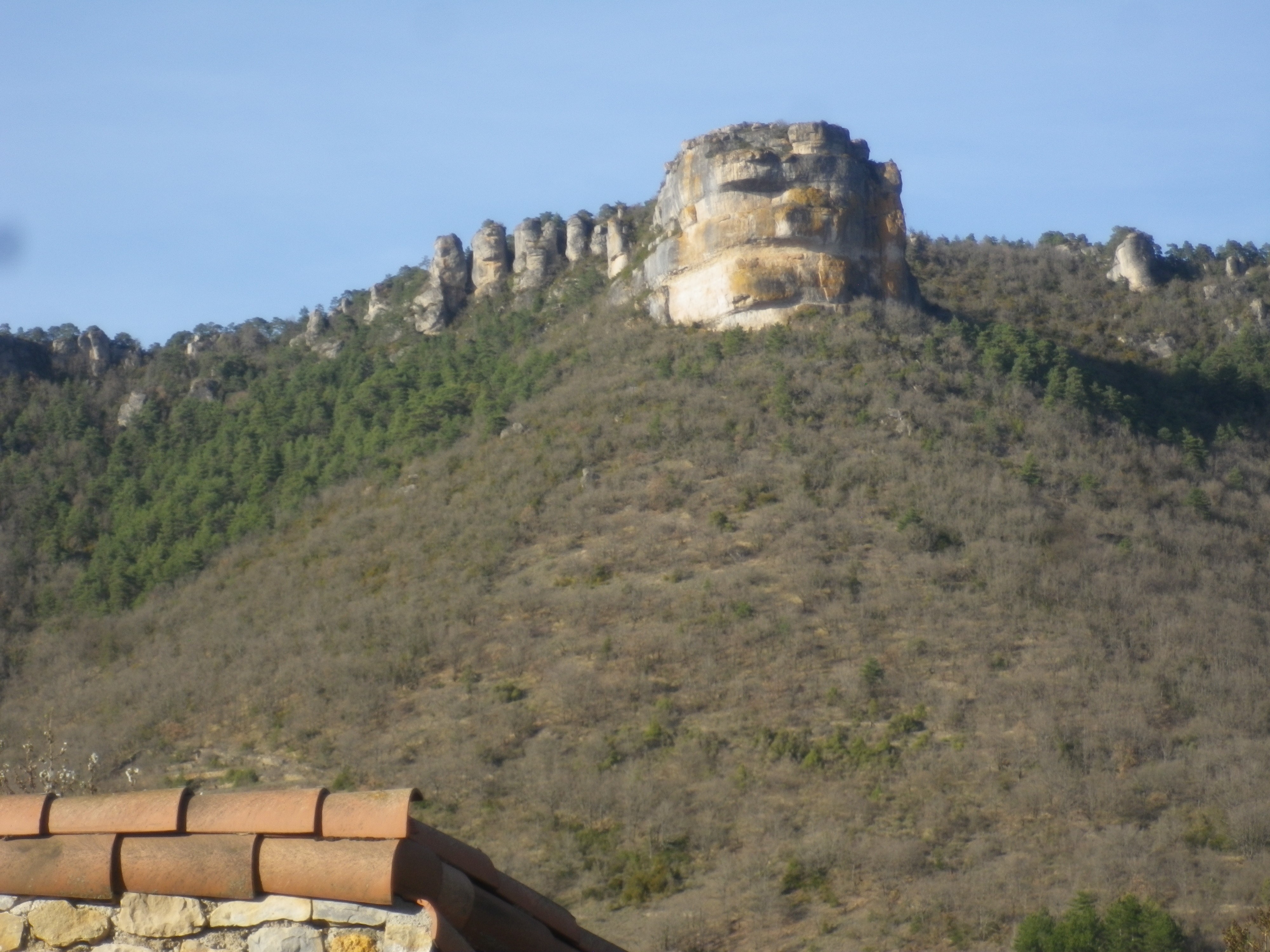 Imgp0019
