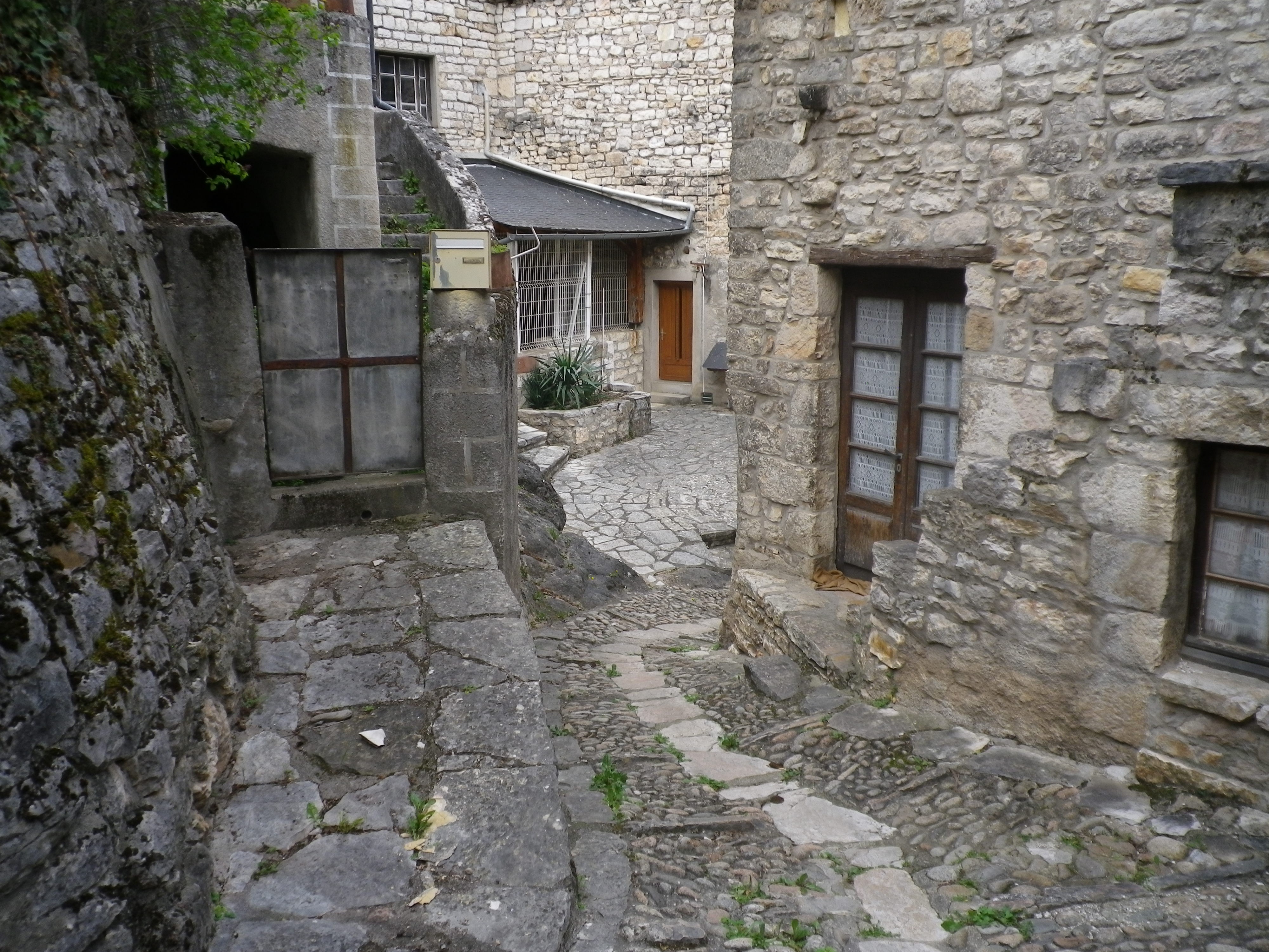 Imgp0096