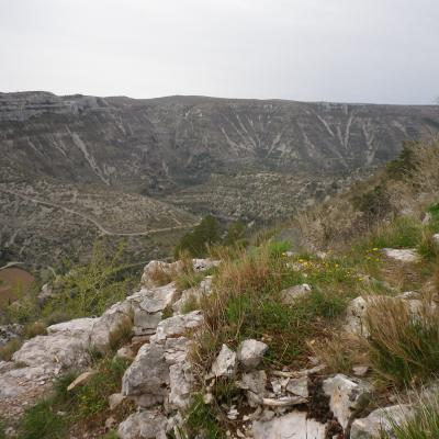 Imgp0103
