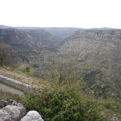 Imgp0106