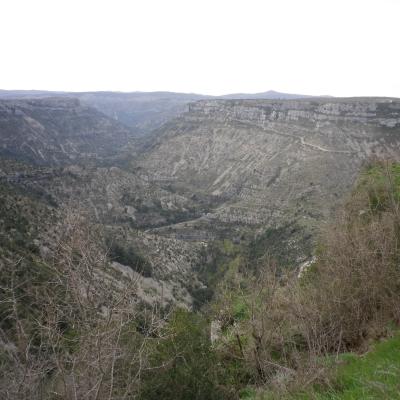 Imgp0108
