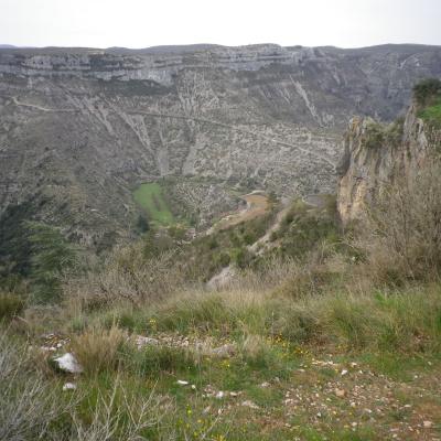 Imgp0110