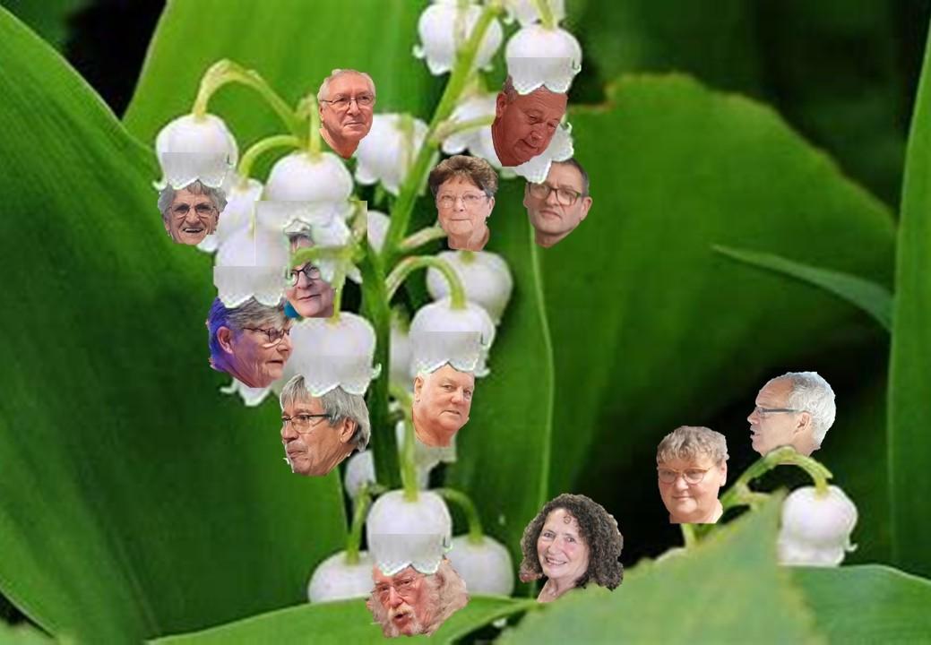 Muguet